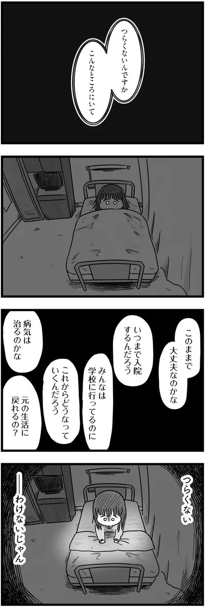 『精神科病棟の青春 あるいは高校時代の特別な1年間について』より