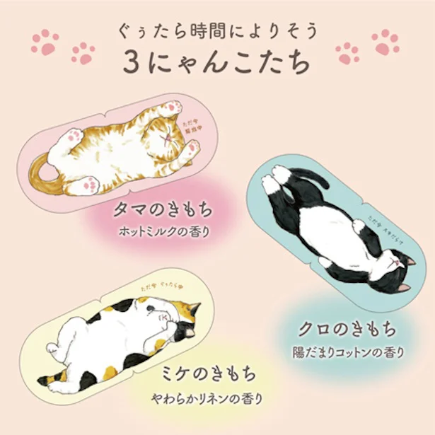 3にゃんこ