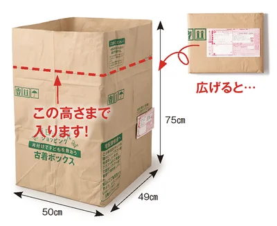 この線まで入るのでかなり入れられそう！
