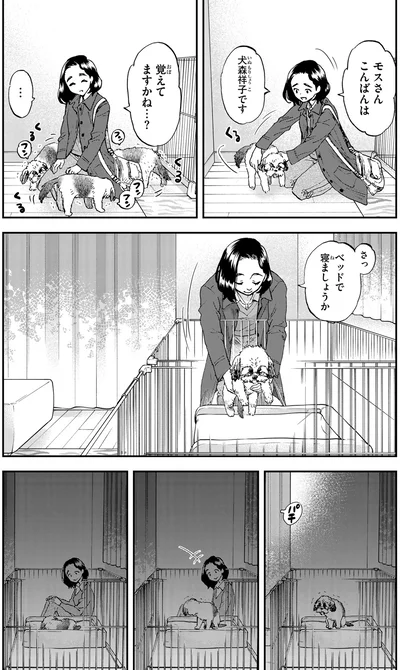 ベッドで寝ましょうか