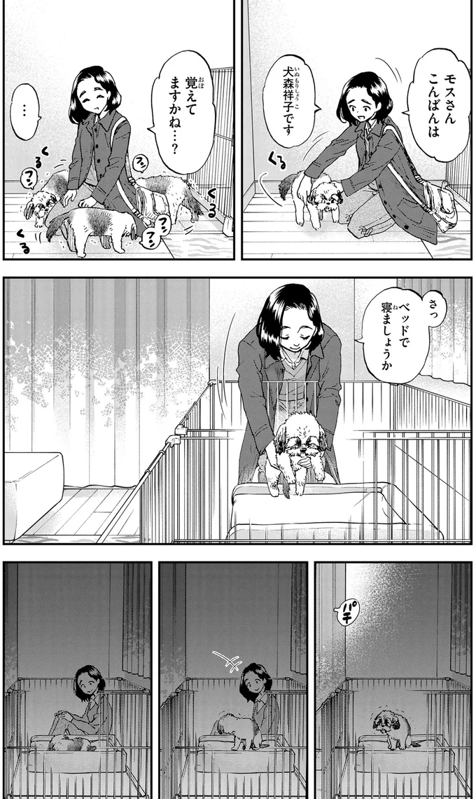 ベッドで寝ましょうか