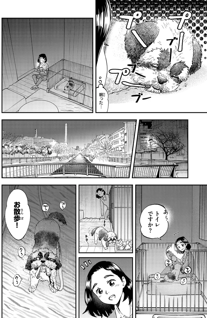 お散歩！