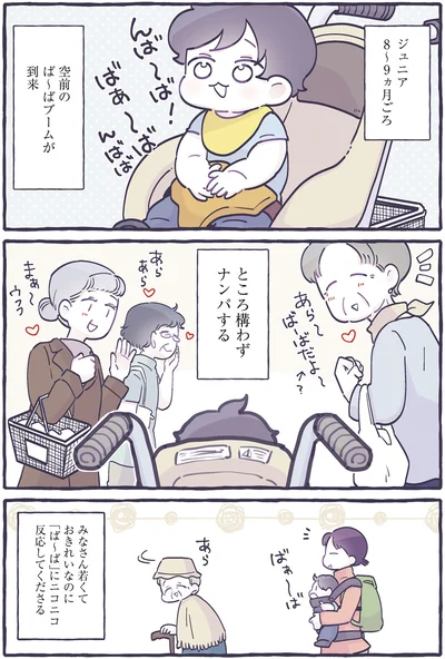 ジュニア８～９ヵ月ごろ