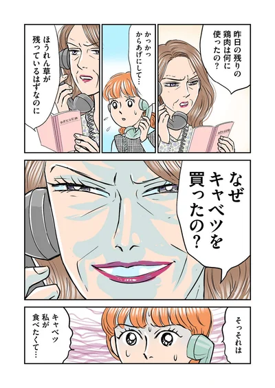 『義母クエスト ~結婚したらいきなりラスボス戦でした~』より