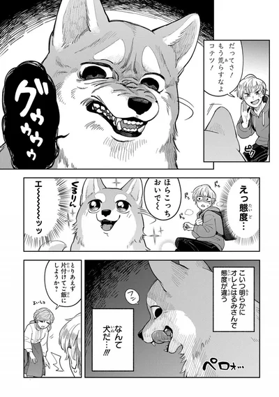 だってさ！もう荒らすなよ！