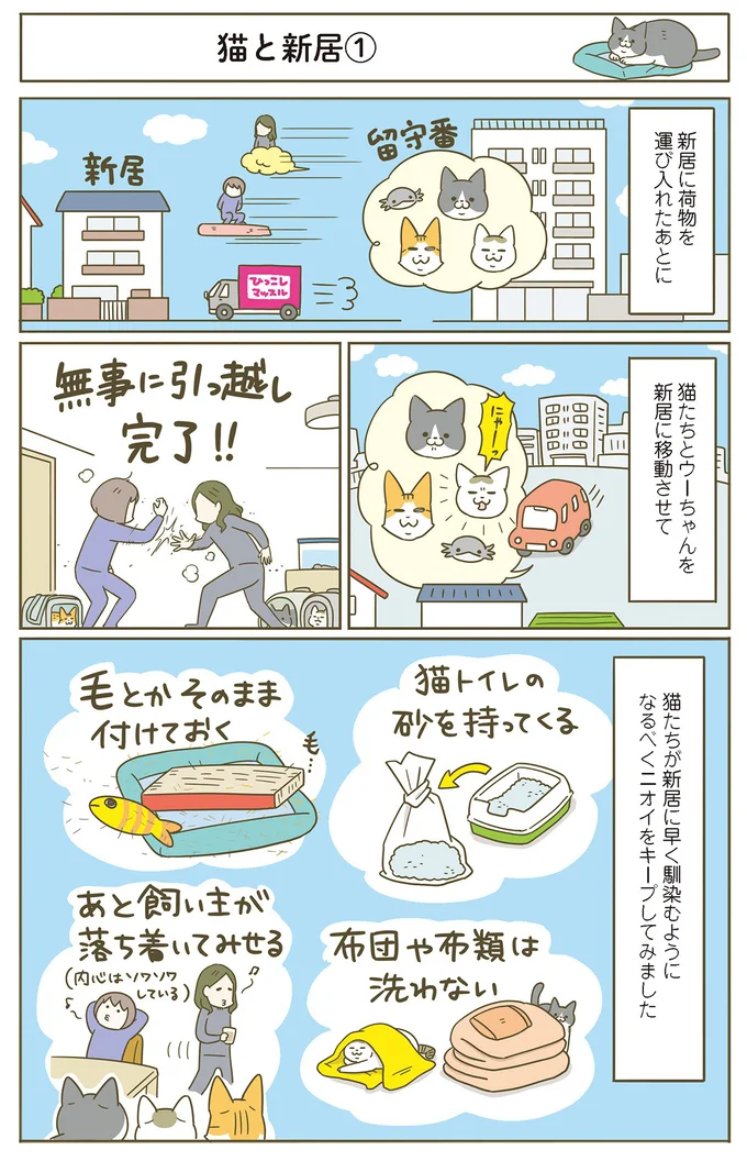 『うちの猫がまた変なことしてる。７』より