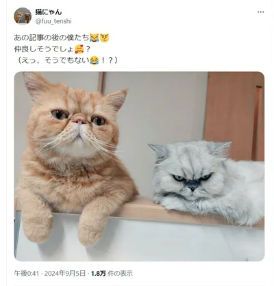 その後の一枚がこちら！やっぱり圧がすごい！笑（⇒次へ）