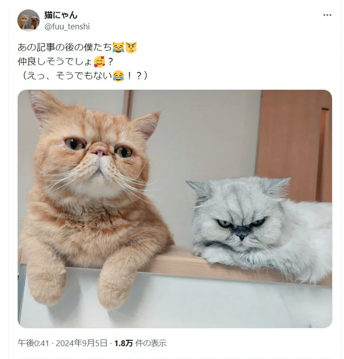 その後の一枚がこちら！やっぱり圧がすごい！笑（⇒次へ）