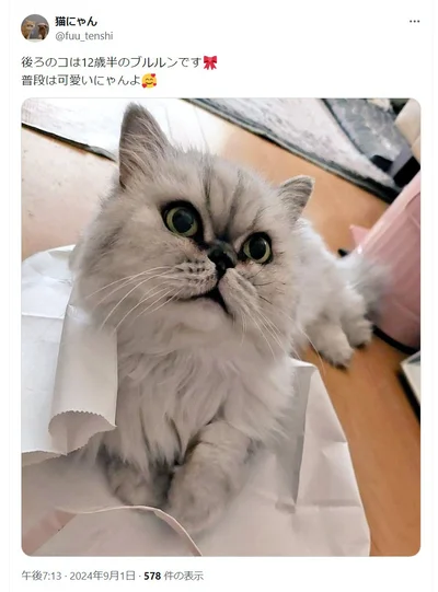 ブルルンちゃんの普段はこんな感じ（⇒次へ）