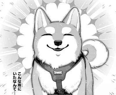 飼い主が苦手な虫から遠ざけてくれた!? 犬のファインプレーに完全敗北