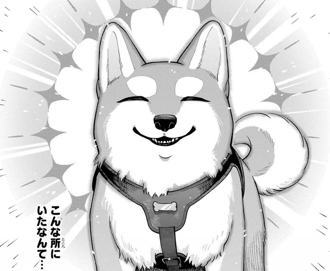 飼い主が苦手な虫から遠ざけてくれた!? 犬のファインプレーに完全敗北