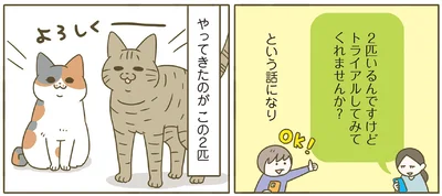新しくやってきた2匹