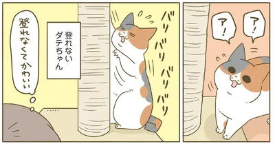 登れなくてかわいい