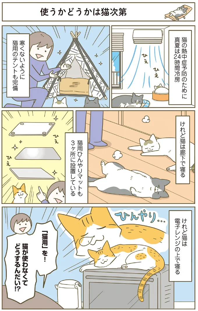 猫用を使わない猫って…！
