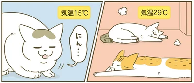 気温によって寝る場所が変わる
