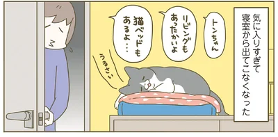 寝室から出てこなくなっちゃった