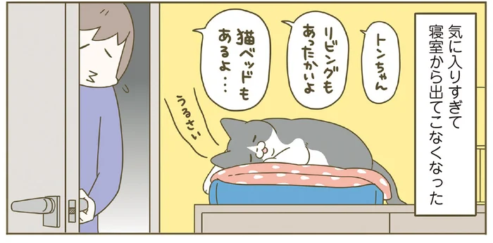 気に入りすぎて寝室から出てこない!? 猫のために作ったあったかベッドによる飼い主の寂しさ／うちの猫がまた変なことしてる。8（4）
