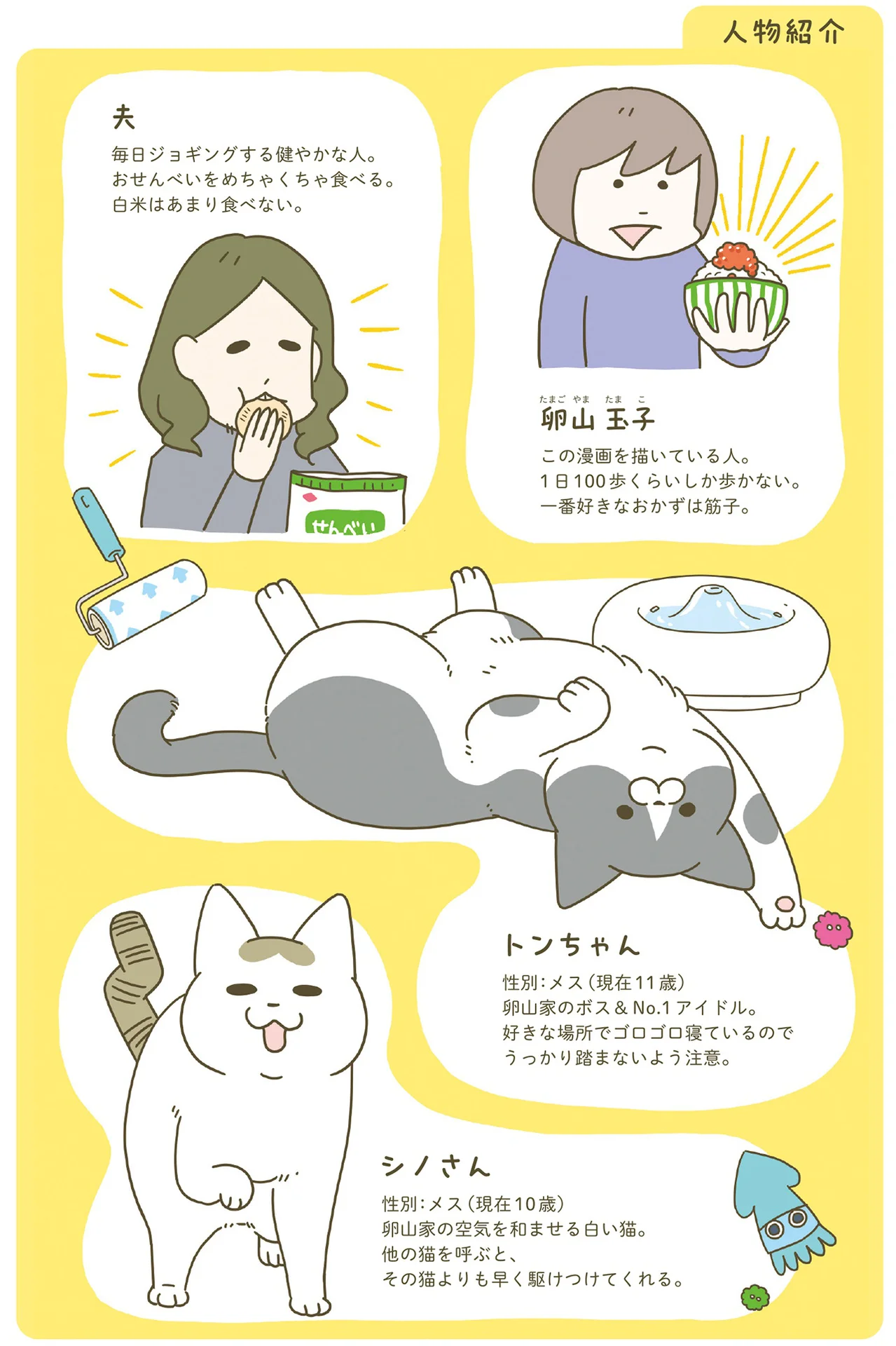 気に入りすぎて寝室から出てこない!? 猫のために作ったあったか 気に入りすぎて寝室から出てこない!? 猫のために作ったあったか
