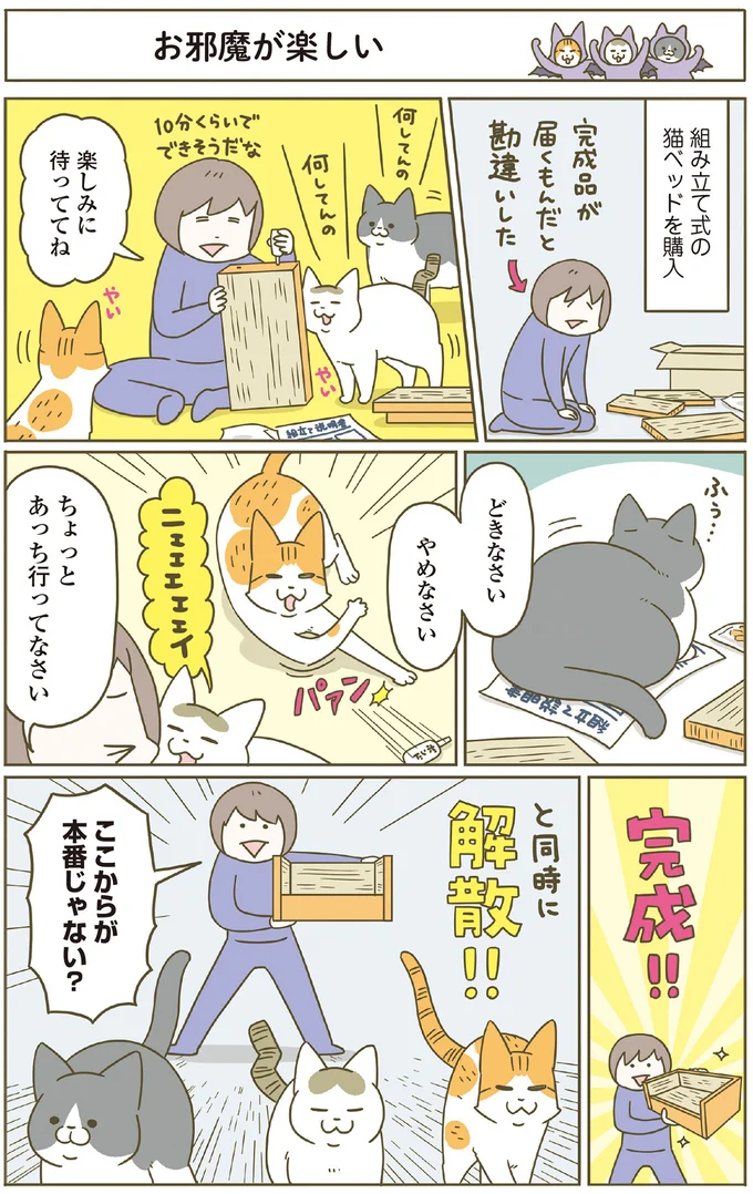 お邪魔が楽しい
