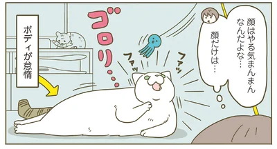 顔だけはやる気満々なんだよなあ