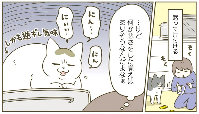 悪さをした覚えはある？ 叱るのをやめたのに、いたずらした猫が逆ギレしているのはなぜなのか／うちの猫がまた変なことしてる。8（6）