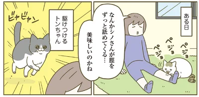 相棒猫の元へ駆けつけるも
