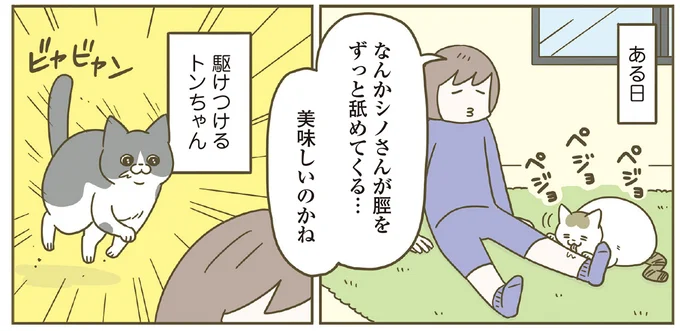 相棒猫の元へ駆けつけるも