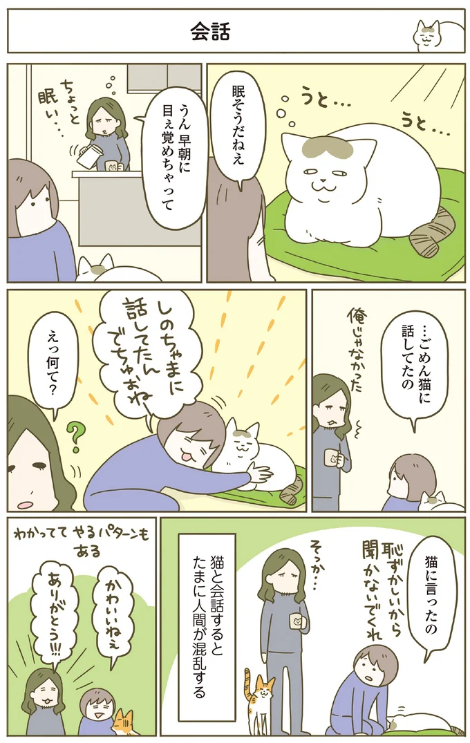 ごめん、猫に話してたの