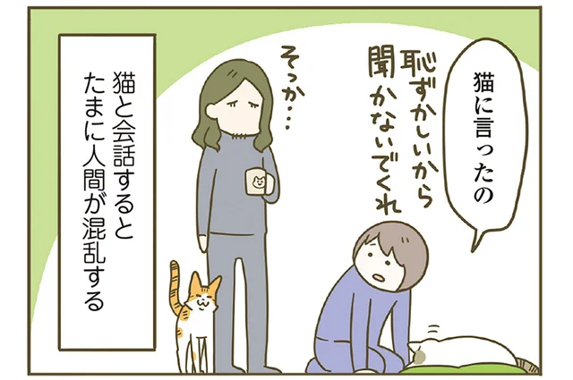 「猫に話してたの」猫との会話で人間が混乱！ 愛猫との生活は楽しいことでいっぱい／うちの猫がまた変なことしてる。8（8）