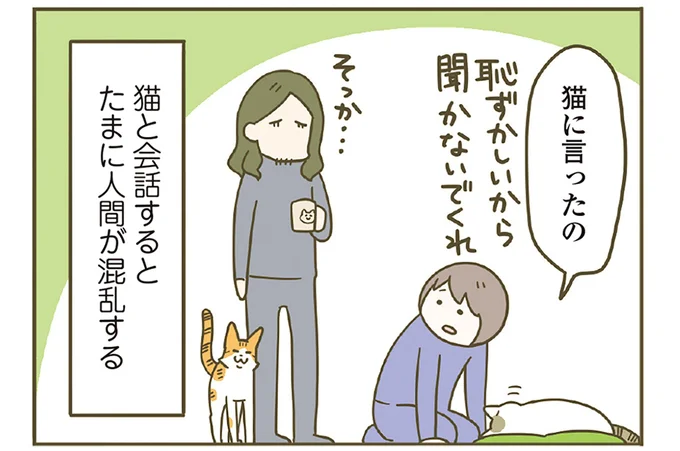 人間も混乱する猫との会話