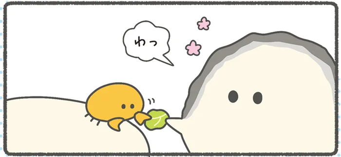 食べるかな？そっとキャベツをあげたいカキ／ぷりぷりカキ（5）