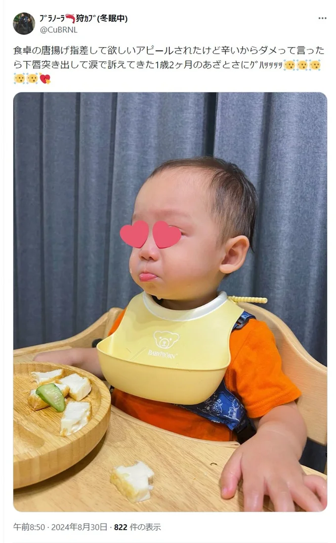 食べたいものを「辛いからダメ」と言われた時の様子でした▶あんまり食べたくない日には…(⇒次へ)
