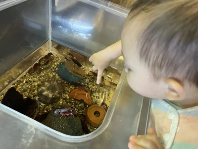 水槽の中の生き物に手を伸ばしてみたり▶みんな大好きな遊びも！（⇒次へ）