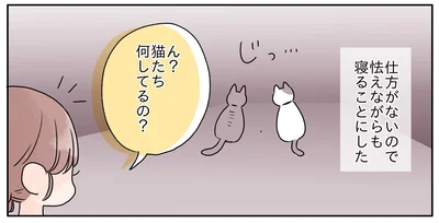 猫たち何してるの？