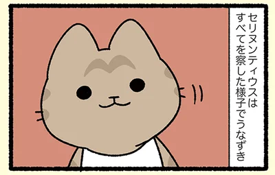 全てを察したねこ