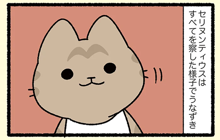 【走れメロスなねこ】全てを察したセリヌンティウスは、親友メロスへ爪を振り上げて／みっけ！ねこむかしばなし（10）