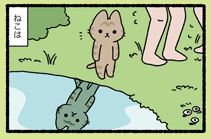 水面に映る自分の姿は