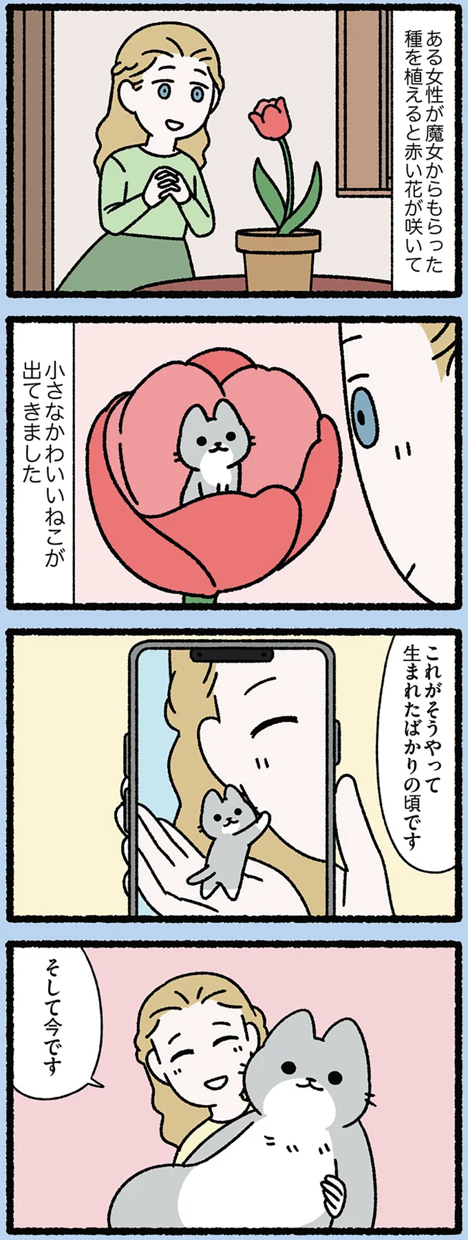 小さかった猫の今
