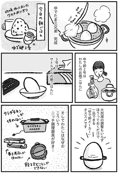 こういうニッチ調理器具が好き…