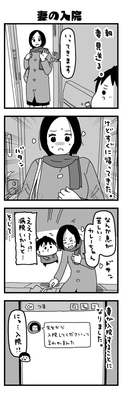 『大好きな妻が難病になった話～ふうふの日記マンガ～』より
