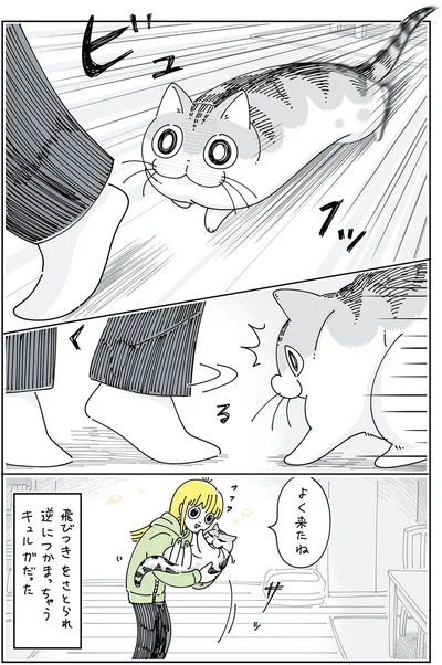『夜は猫といっしょ5』より