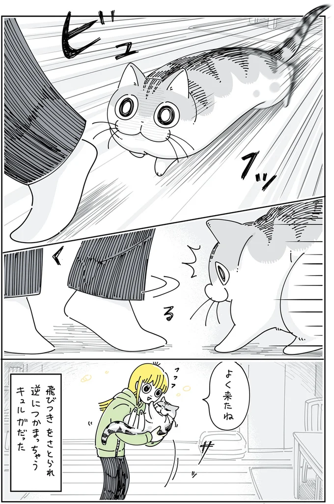 『夜は猫といっしょ5』より
