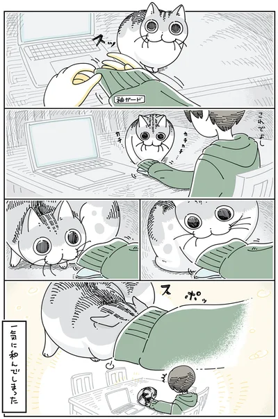 『夜は猫といっしょ5』より