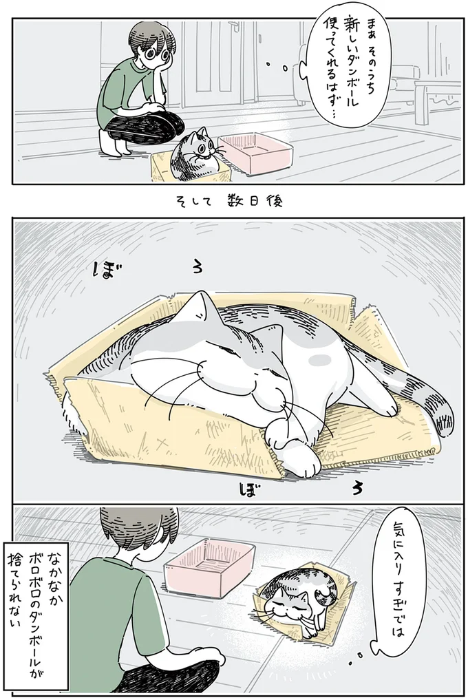 『夜は猫といっしょ5』より