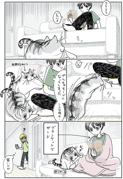 『夜は猫といっしょ5』より