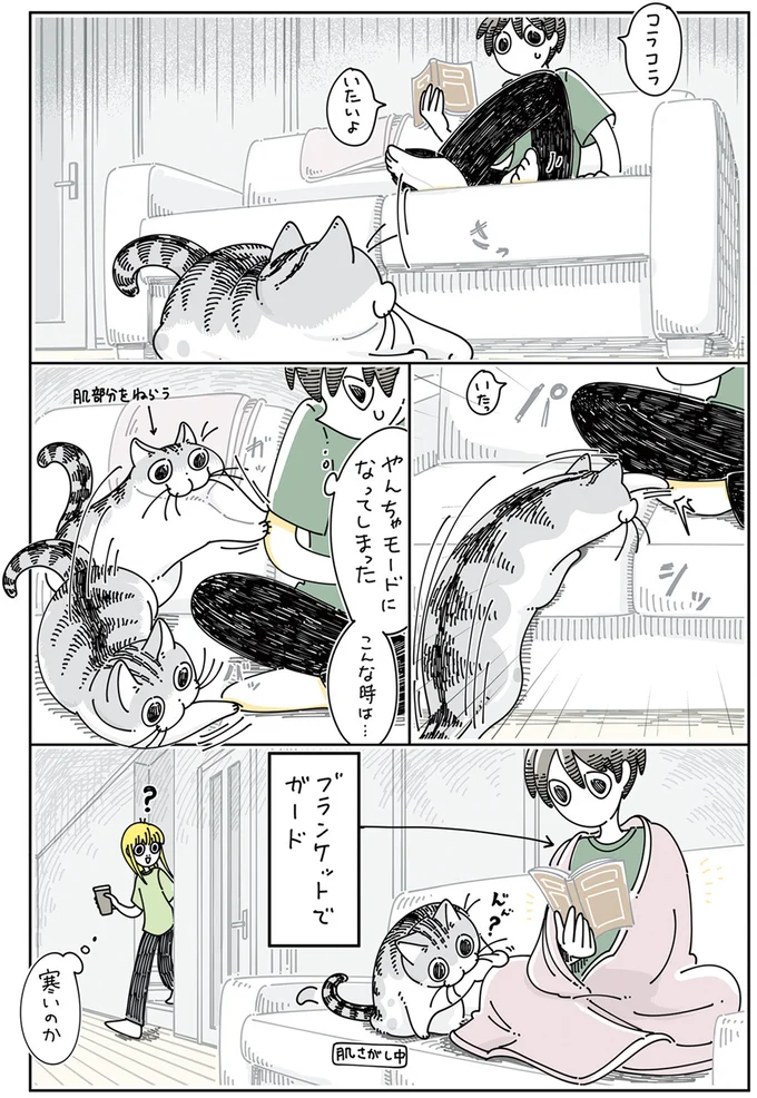 『夜は猫といっしょ5』より