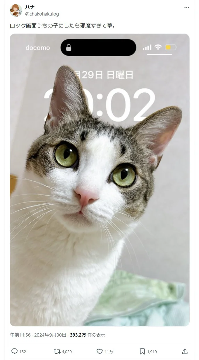 琥珀くんのやんちゃさは待ち受け画面でも発揮される！？（⇒次へ）