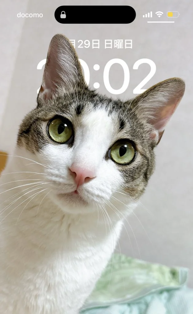 時計が……時計が見えない……！（⇒次へ）
