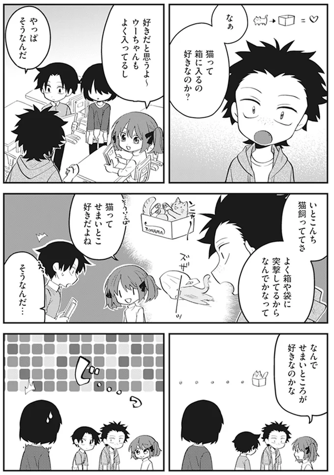 猫ってせまいとこ好きだよね
