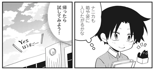我が家の猫も狭いところに入りたがるかな。学校から帰って試してみた結果／猫のようなナニカ2（2）